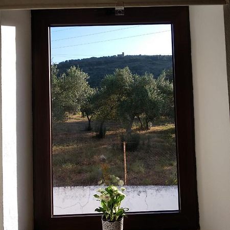 Casa Rural Ventanas A La Sierra イゲラ・デ・ラ・シエラ エクステリア 写真