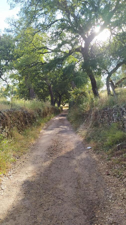 Casa Rural Ventanas A La Sierra イゲラ・デ・ラ・シエラ エクステリア 写真