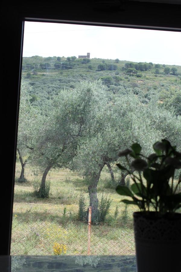 Casa Rural Ventanas A La Sierra イゲラ・デ・ラ・シエラ エクステリア 写真